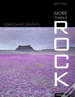 Capa do artigo More Than A Rock