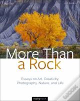 More Than A Rock