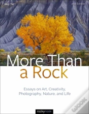 Capa do artigo More Than A Rock