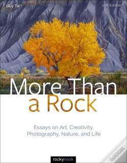Capa do artigo More Than A Rock