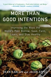 Capa do artigo More Than Good Intentions
