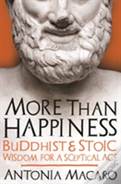 More Than Happiness