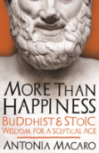 More Than Happiness