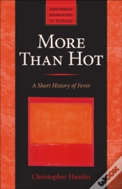 Capa do artigo More Than Hot