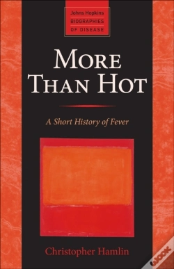 Capa do artigo More Than Hot