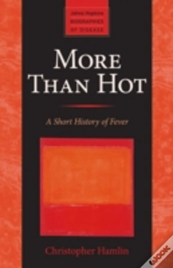 Capa do artigo More Than Hot