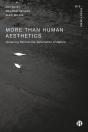 More-Than-Human Aesthetics - Preview