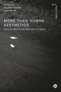 More-Than-Human Aesthetics - Preview