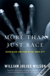 Capa do artigo More Than Just Race