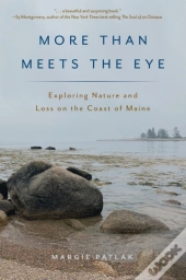 More Than Meets The Eye