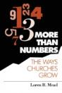 More Than Numbers - Preview