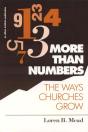 More Than Numbers - Preview