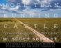More Than Running Cattle - Preview