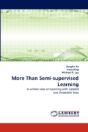 More Than Semi-Supervised Learning - Preview