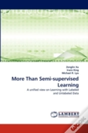 Capa do artigo More Than Semi-Supervised Learning