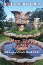 More Water Into Wine - Preview