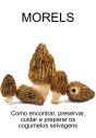 Morels - Preview