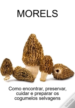Capa do artigo Morels