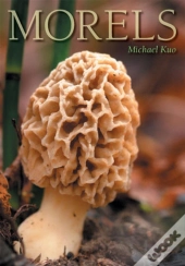 Morels