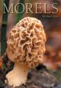 Morels - Preview