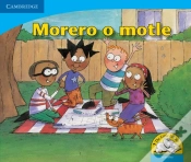 Capa do artigo Morero O Motle