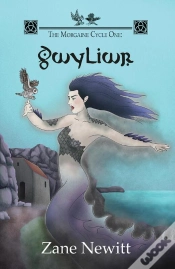 Capa do artigo Morgaine Cycle One