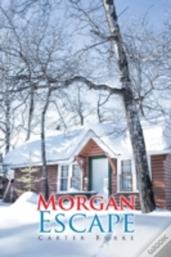 Capa do artigo Morgan Escape