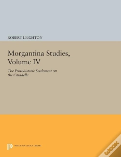 Capa do artigo Morgantina Studies, Volume Iv