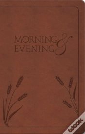 Capa do artigo Morning And Evening