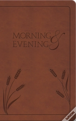 Capa do artigo Morning And Evening
