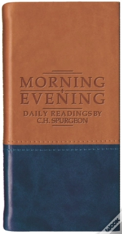 Capa do artigo Morning And Evening - Matt Tan/Blue