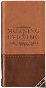 Capa do artigo Morning And Evening - Matt Tan/Burgundy