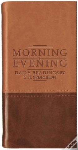 Capa do artigo Morning And Evening - Matt Tan/Burgundy