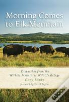 Morning Comes To Elk Mountain