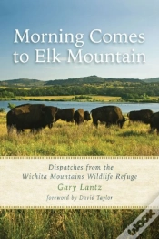 Capa do artigo Morning Comes To Elk Mountain