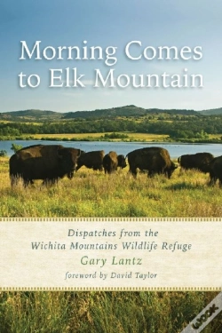 Capa do artigo Morning Comes To Elk Mountain