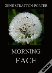 Capa do artigo Morning Face