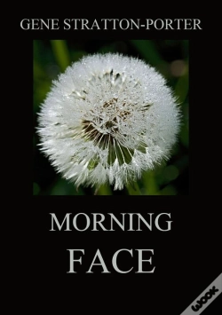 Capa do artigo Morning Face