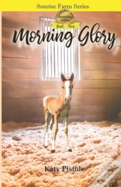 Capa do artigo Morning Glory