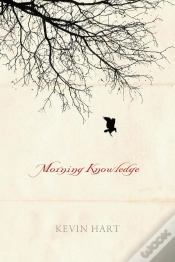 Capa do artigo Morning Knowledge