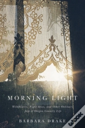 Capa do artigo Morning Light