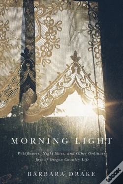 Capa do artigo Morning Light