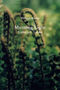 Morning Light - Preview