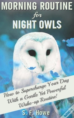Capa do artigo Morning Routine For Night Owls