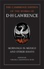 Mornings In Mexico And Other Essays - Preview