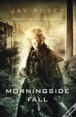 Capa do artigo Morningside Fall