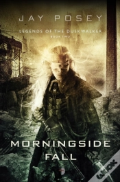 Capa do artigo Morningside Fall