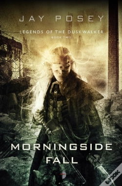 Capa do artigo Morningside Fall