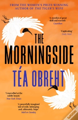 Capa do artigo Morningside
