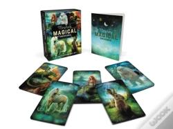 Capa do artigo Morphing Magical Creatures